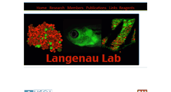Desktop Screenshot of langenaulab.com